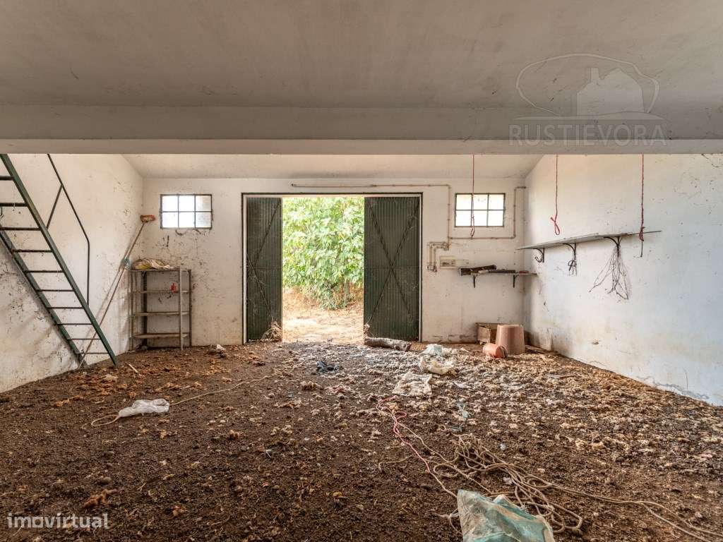 Quinta Rústica em Évora-59