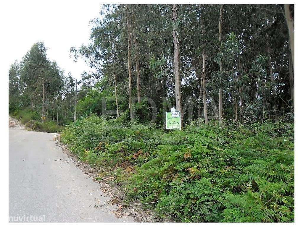 Terreno, Pousada de Saramagos - Grande imagem: 4/9