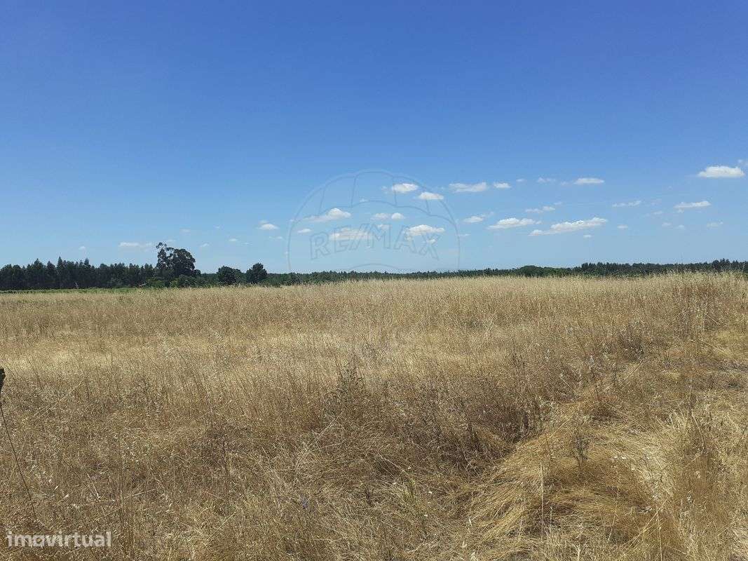 Terreno  para venda - Grande imagem: 3/4