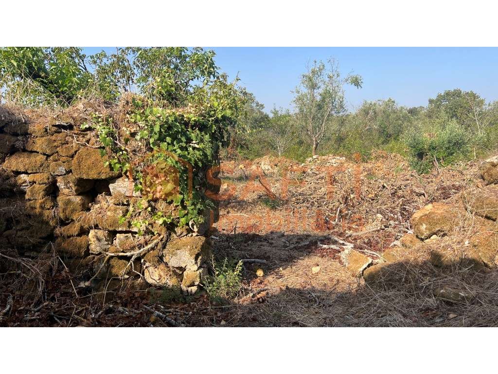 Ruína para reconstrução nas Areias - Ferreira do Zezere-8