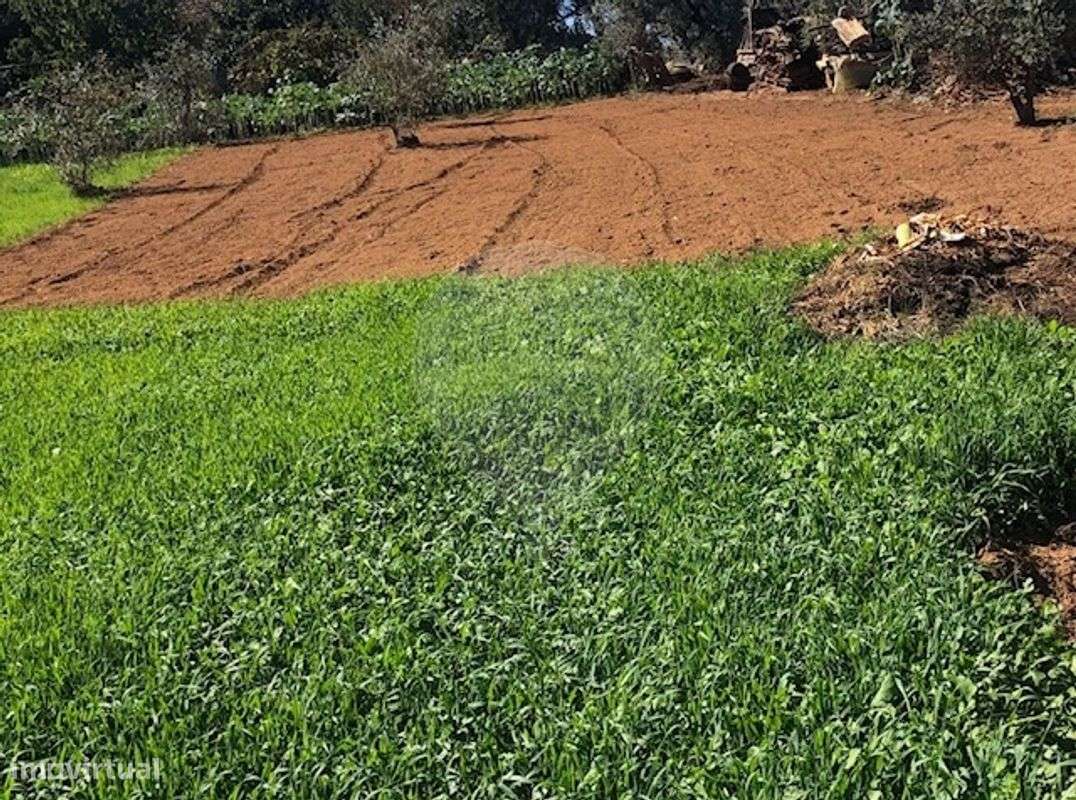 Terreno  para venda - Grande imagem: 3/4