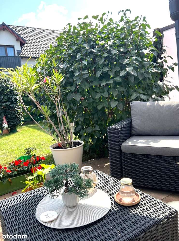 Błażejewo, Przy Lesie, Ogród, Do Wprowadzenia-3