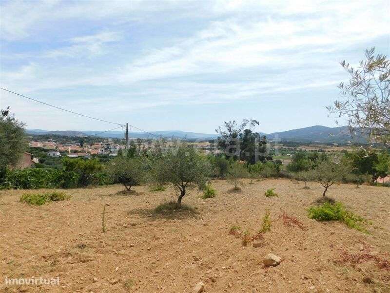 Terreno / Fundão, Salgueiro - Grande imagem: 2/4