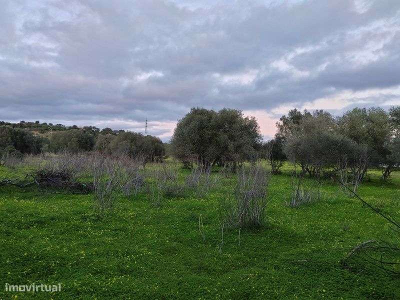 Arrendo Terreno rustico em Boliqueime - Grande imagem: 5/9
