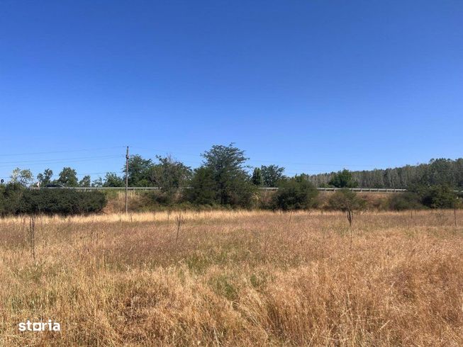 Teren agricol cu potential – 24.834 mp, zona Podul Jiului-10