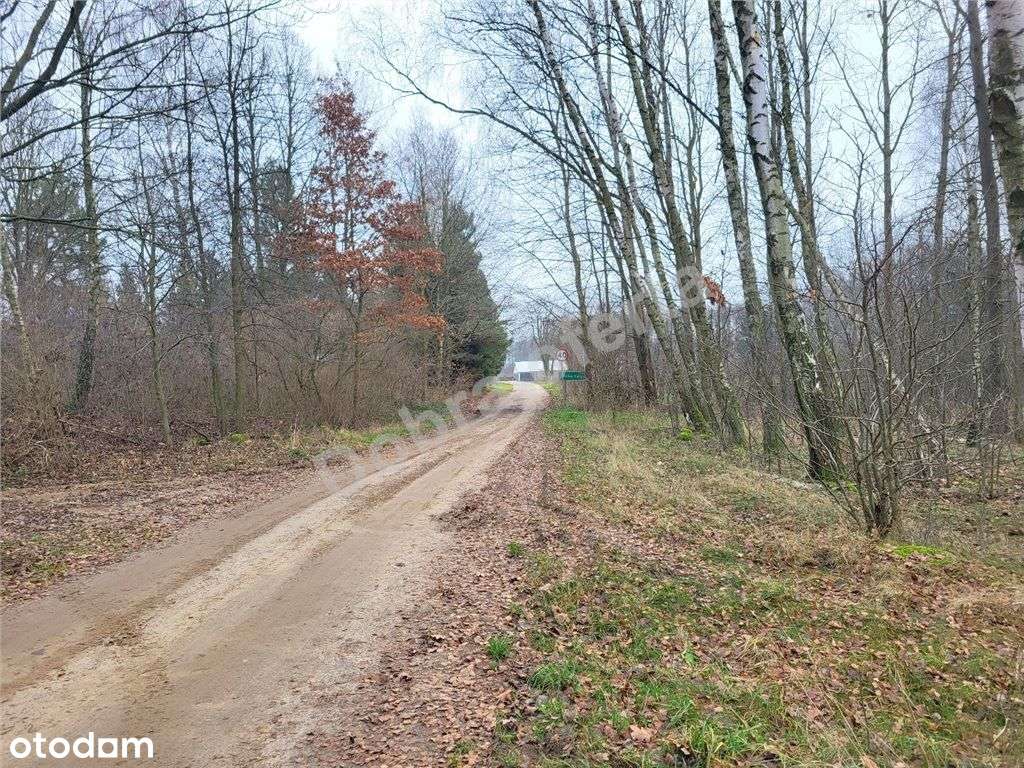 Duża piękna działka obok Kałuszyna-3