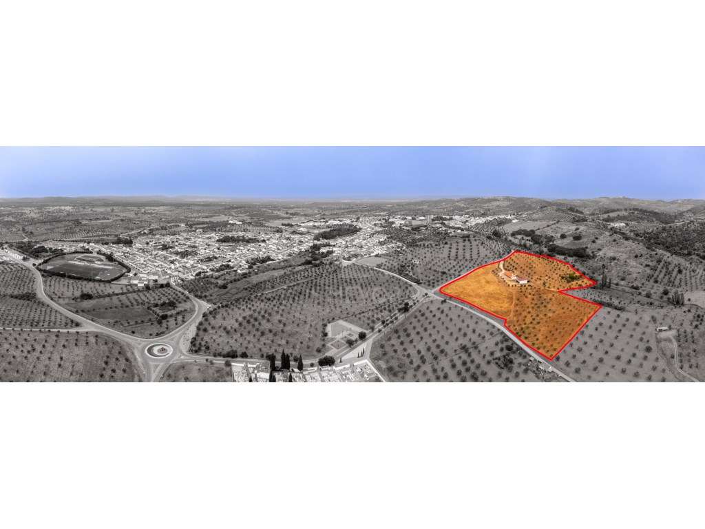 Quinta em Portel - 4,3 Ha de Tradição e Conforto-36