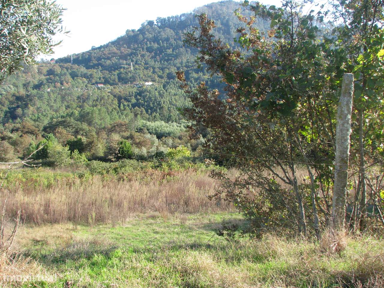 Quinta com casa em ruínas-13