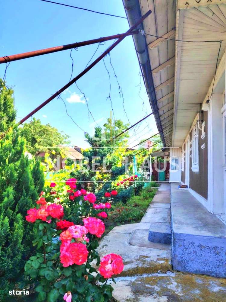 Casa la tara si teren intravilan, in sat Carja, jud Vaslui-3