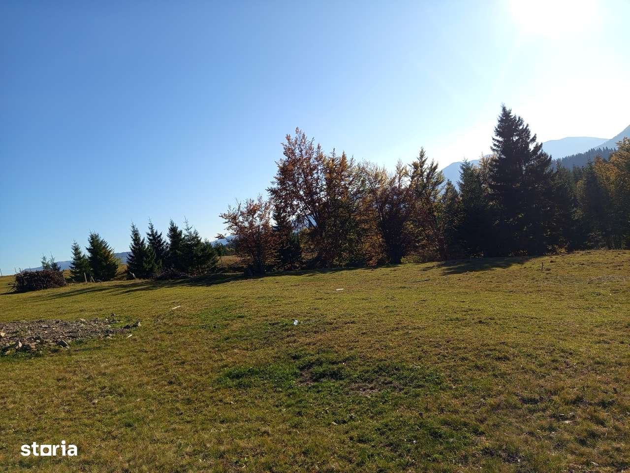 TEREN DE VÂNZARE – 2 parcele de 7 Ari – Pasul Tihuța la cota 1200 - Imagine principală: 4/9