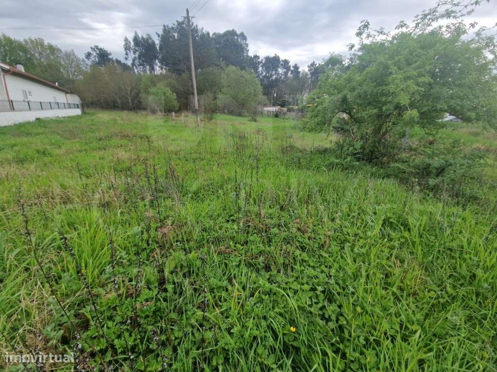 TERRENO - Gandra, Valença - Grande imagem: 5/8