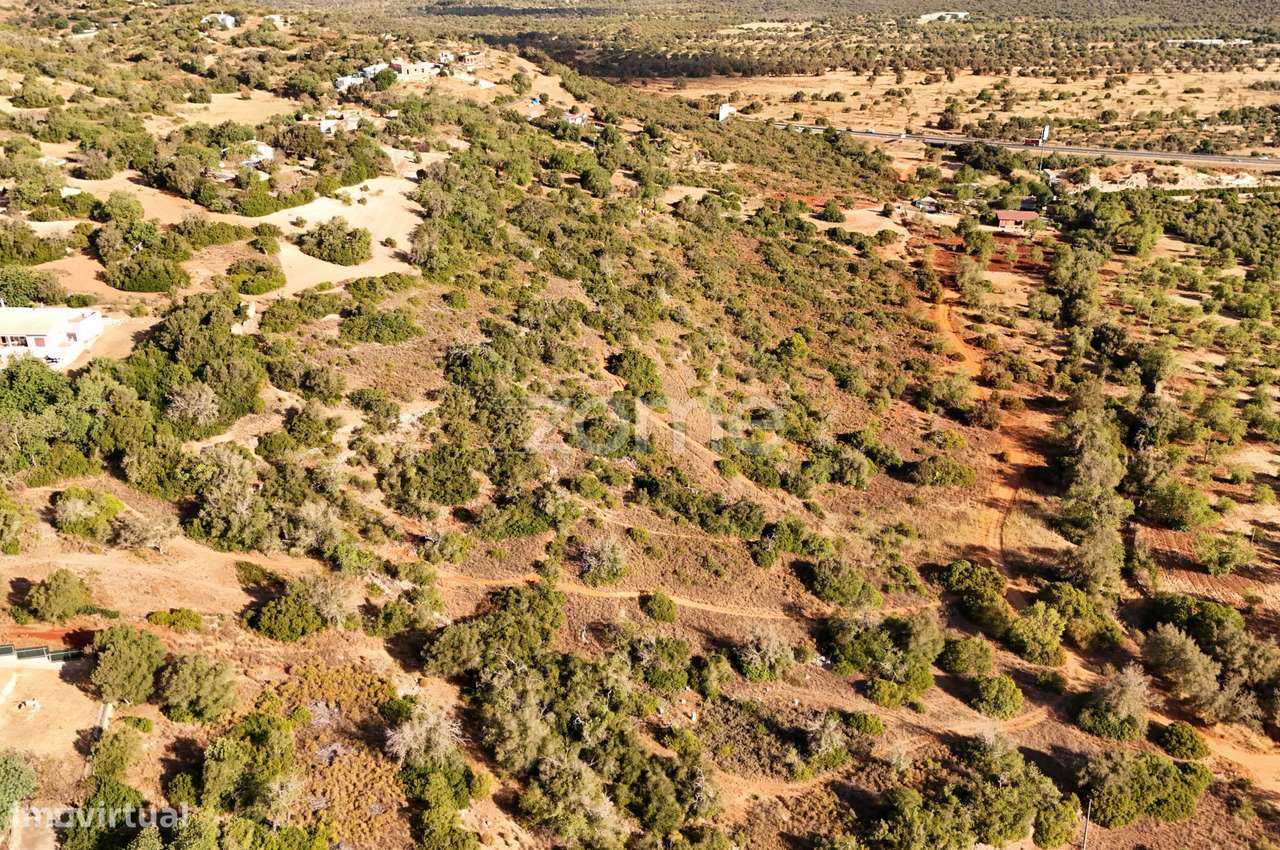 Terreno com ruína - Grande imagem: 3/9