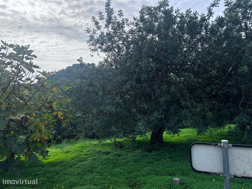 Terreno em Salir com viabilidade de construção-8