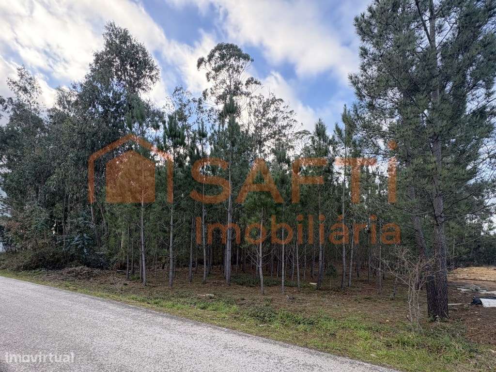 Terreno para construção | 2.760 m² | Charneca - Pombal - Grande imagem: 5/9