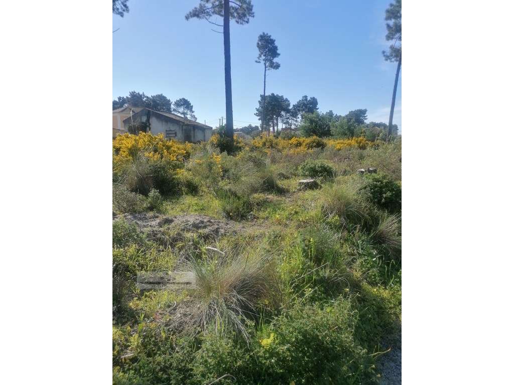 Terreno urbano com 3977 m2 na Aroeira, Charneca de Caparica.-13
