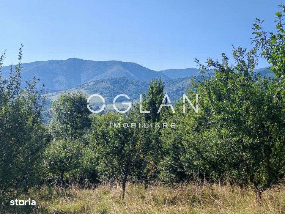 Terenul pe care se cladeste visul tau – Tocile, Sibiu - Imagine principală: 5/11