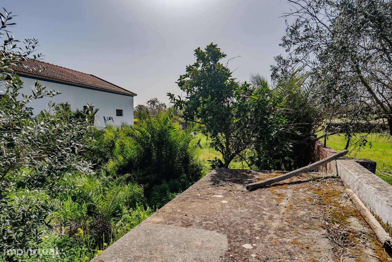 CASA COM QUINTAL | PARA VENDA | FALCOEIRAS-35