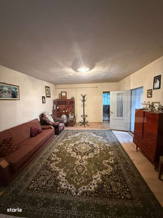 Proprietate completa in Sacuieni- Doua Case + Anexe - Imagine principală: 2/13