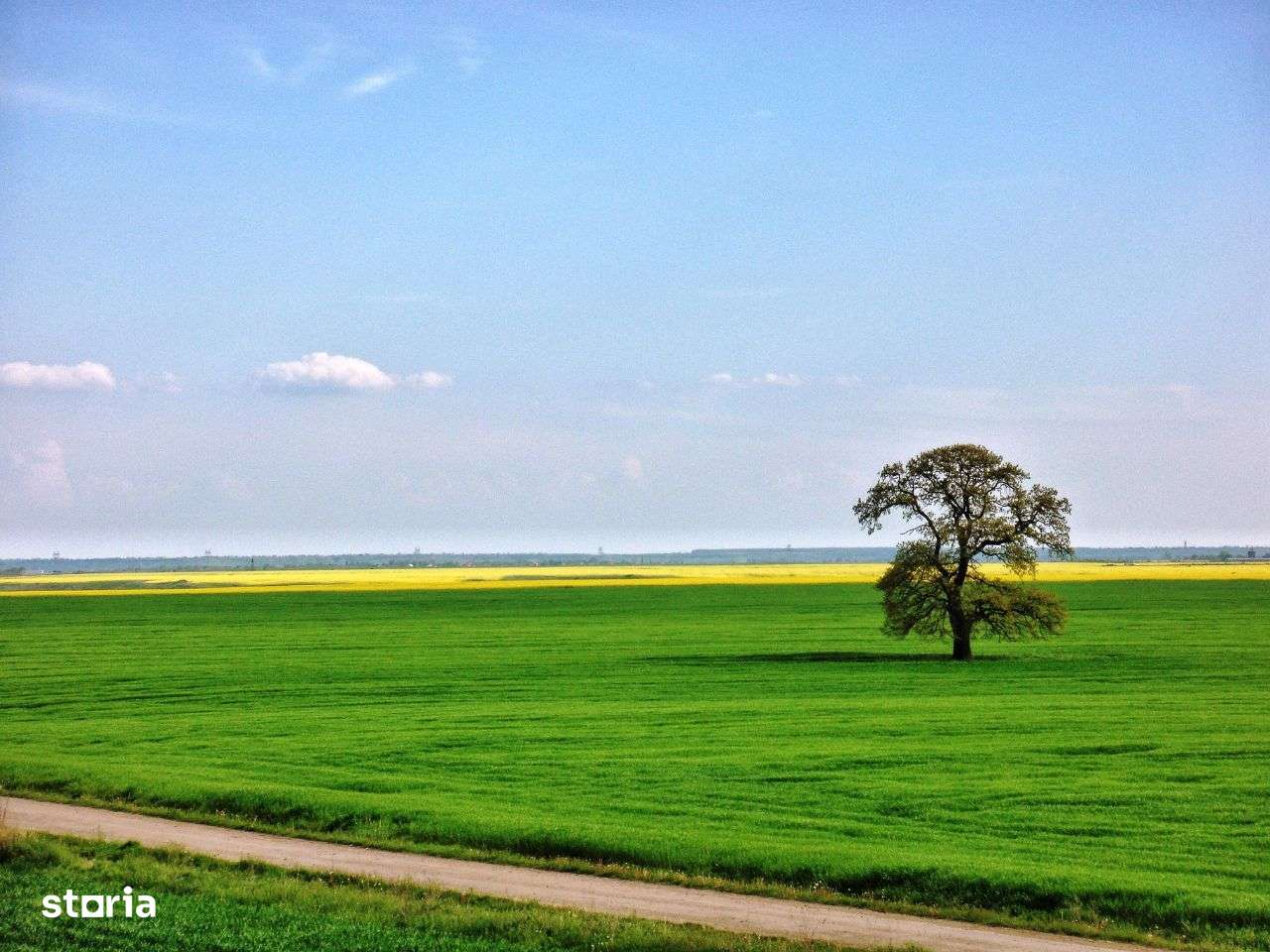 Ocazie investitie zona Frumușani, langa proiect in dezvoltare.-13