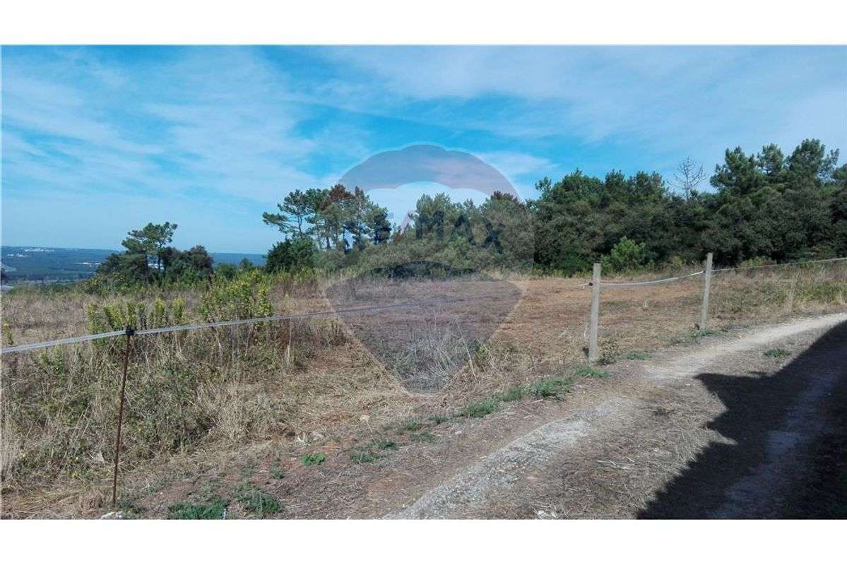 Terreno  para venda - Grande imagem: 5/14