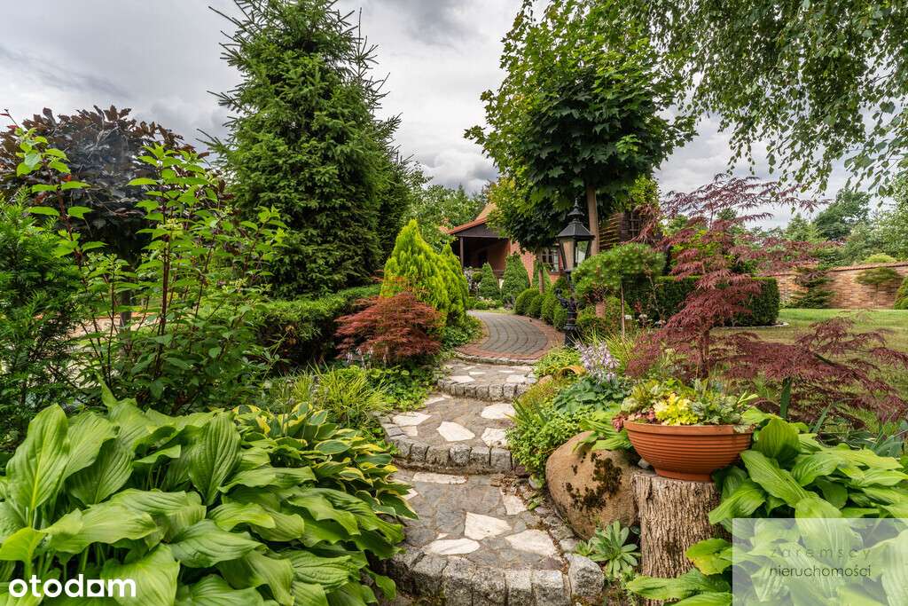 Sala Bankietowa Na Sprzedaż! - Pełny obrazek: 5/5