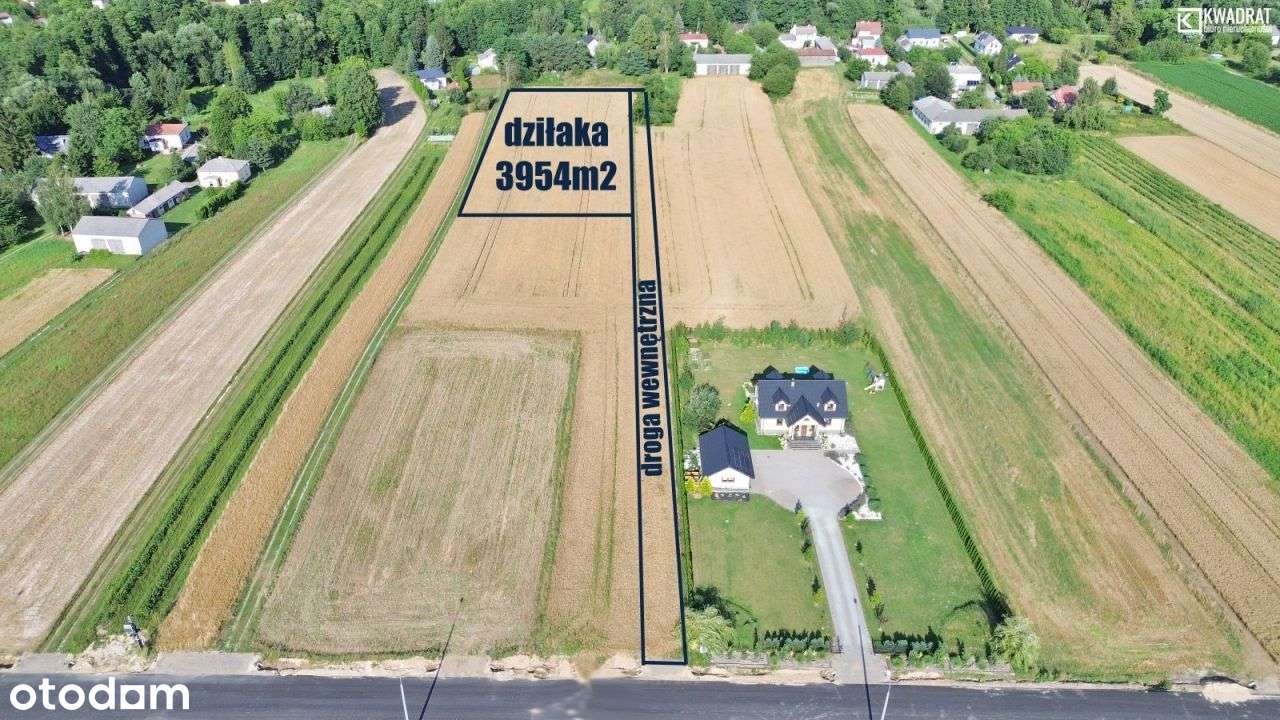 Działka 3954 m2 Rolno-Budowlana - Radawiec Duży - Pełny obrazek: 2/3