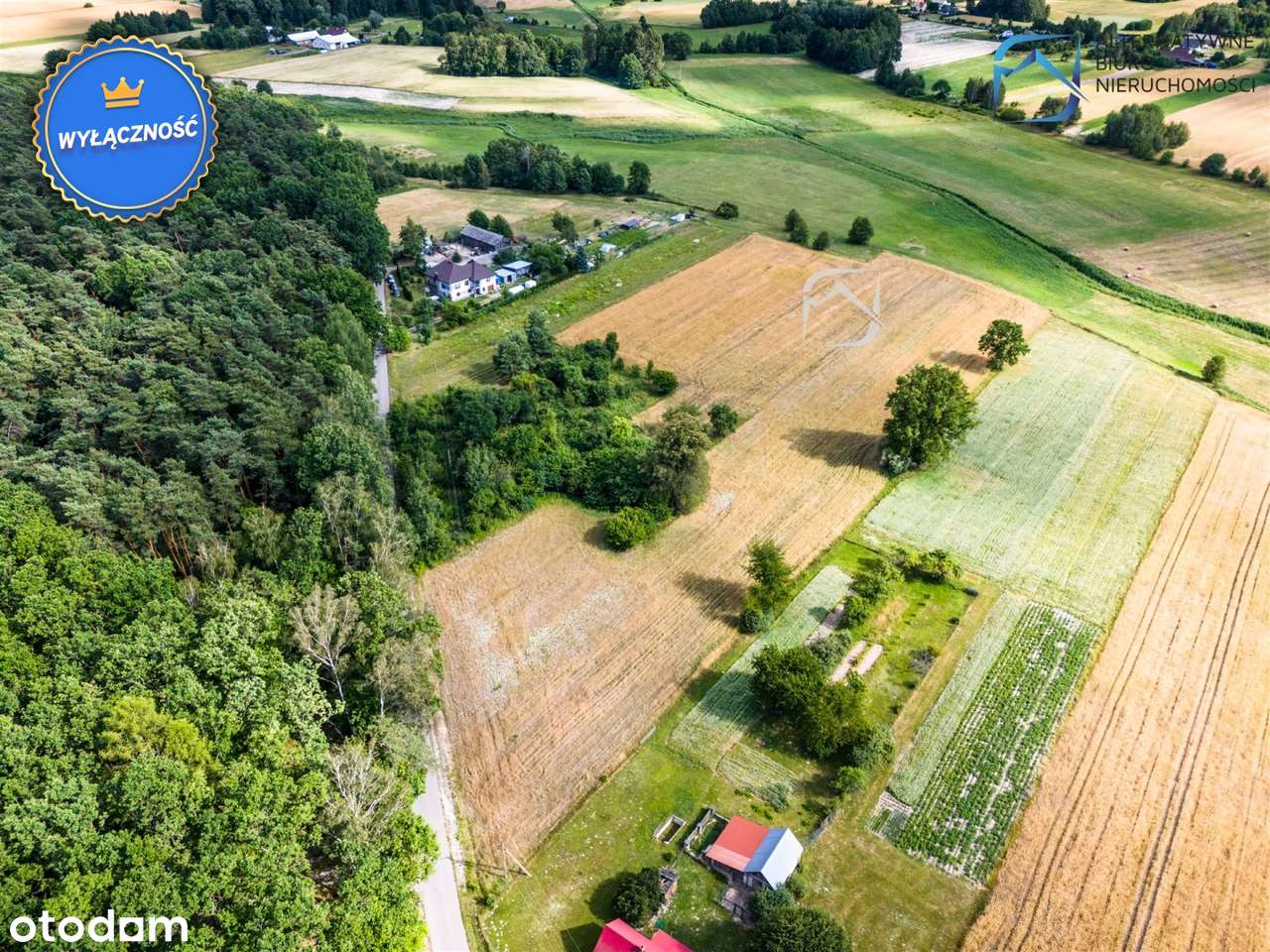 Działki rekreacyjne blisko Poleskiego Parku - Pełny obrazek: 4/10
