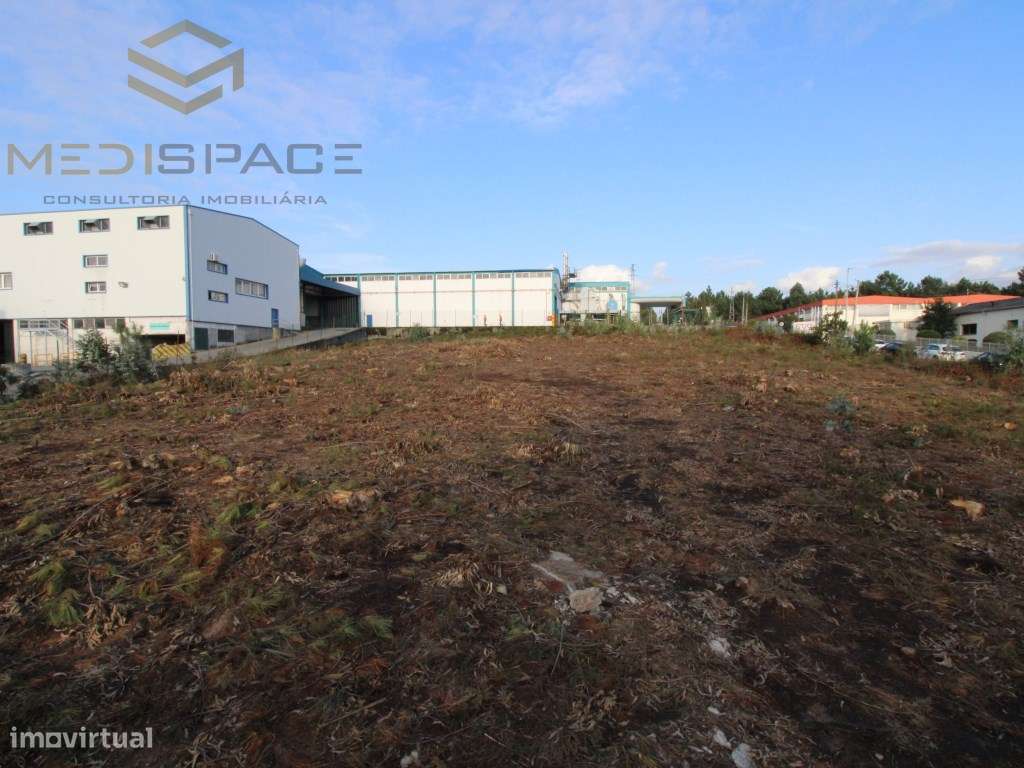 Terreno Industrial em Gaia , Avintes ( Fábrica Barbosa e Almeida) - Grande imagem: 2/23