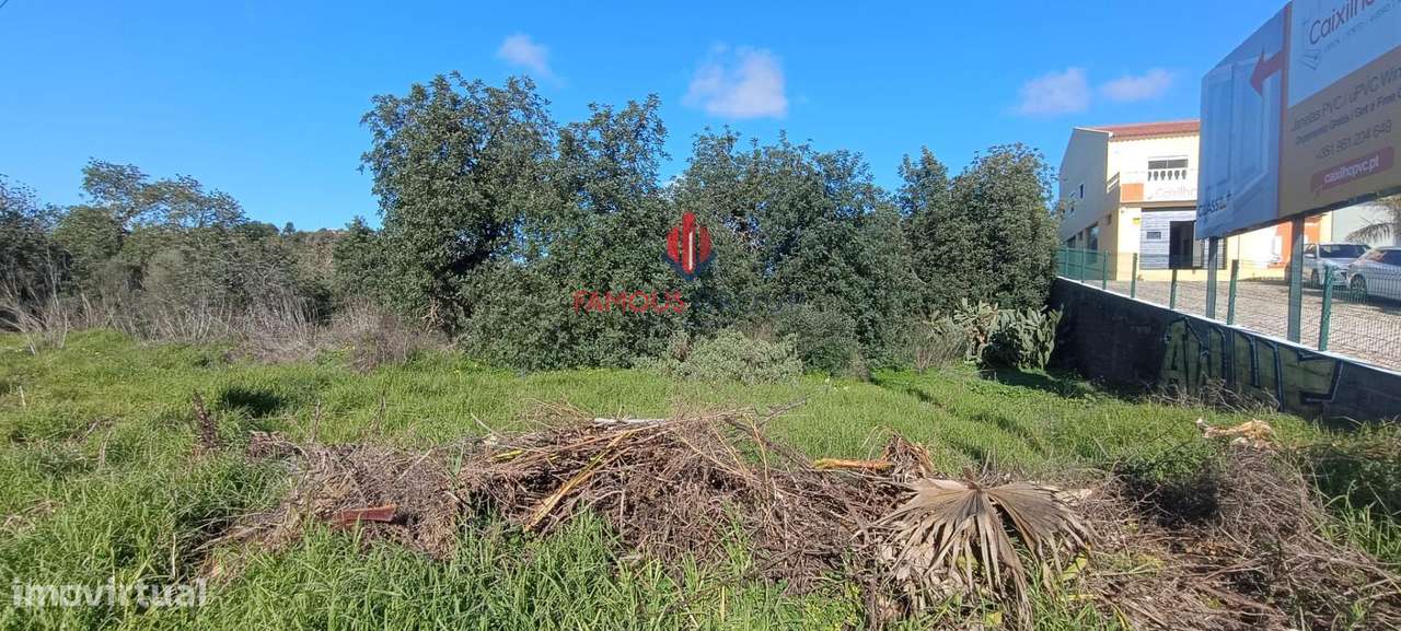 Terreno Rustico com 3370 m2 na Estrada Nacional 125 - Grande imagem: 3/6