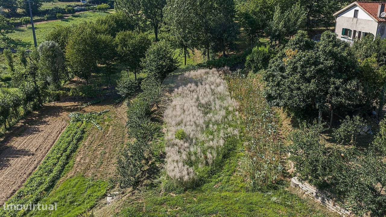 Moradia T4 com Terreno e Árvores de Fruto em Moure, Vila Verde-40