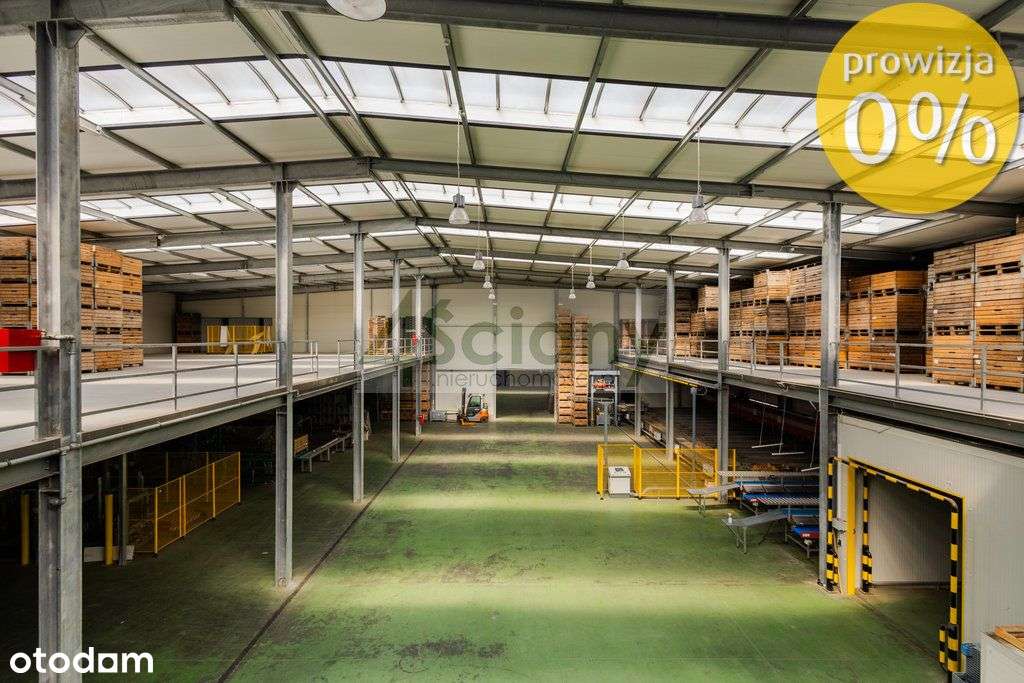 Obiekt z ogromnym potencjałem - Pełny obrazek: 4/18