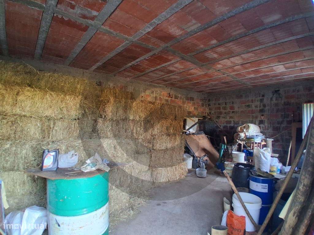 Terreno rústico para exploração agrícola com água e arrecadação - Grande imagem: 5/10