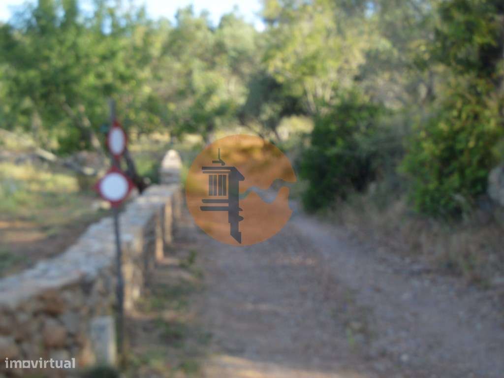 Terreno Rústico Marco Santa Catarina da Fonte do Bispo - Grande imagem: 5/9