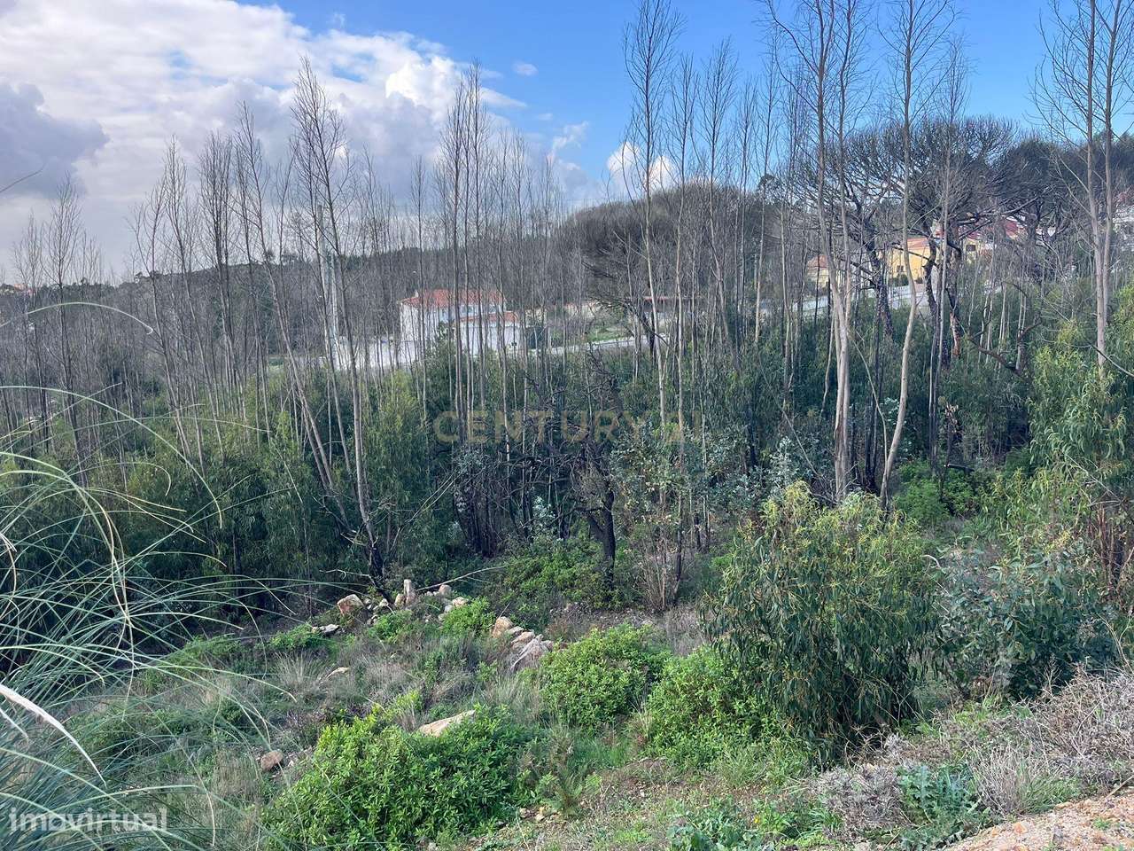 Terreno Urbano para Construção em Almargem do Bispo - Grande imagem: 3/7