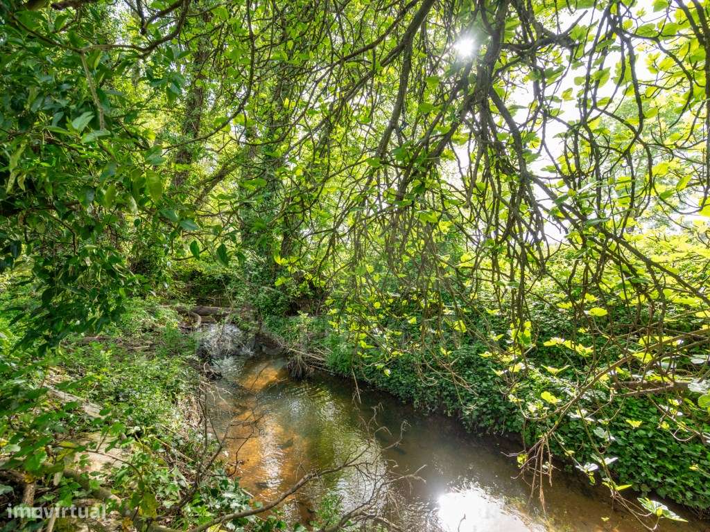Quinta com duas casas, piscina, ribeira e AgroFloresta | Montemor-o... - Grande imagem: 4/18