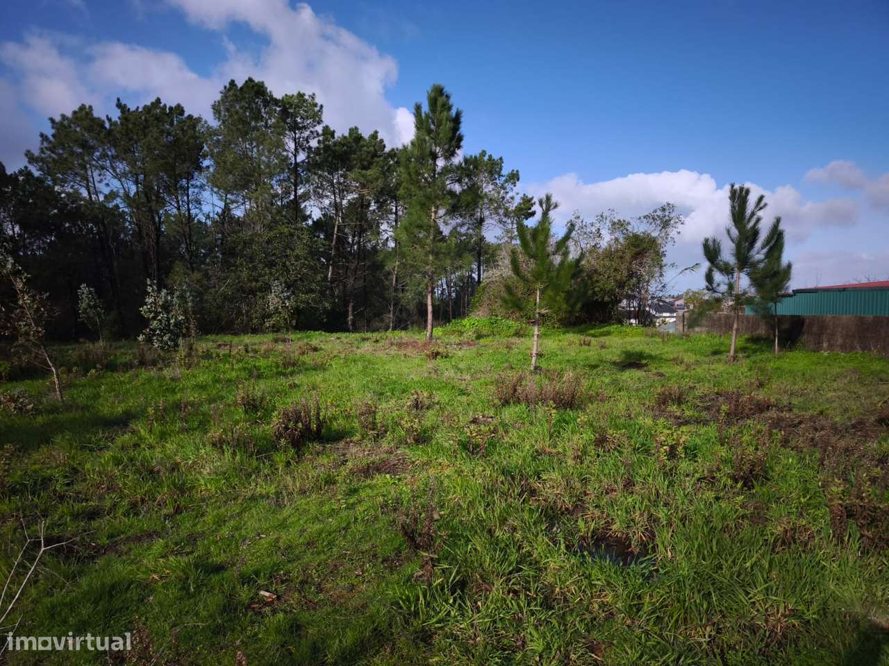 Terreno Urbanizável Telheiro, Maceira - Grande imagem: 4/9