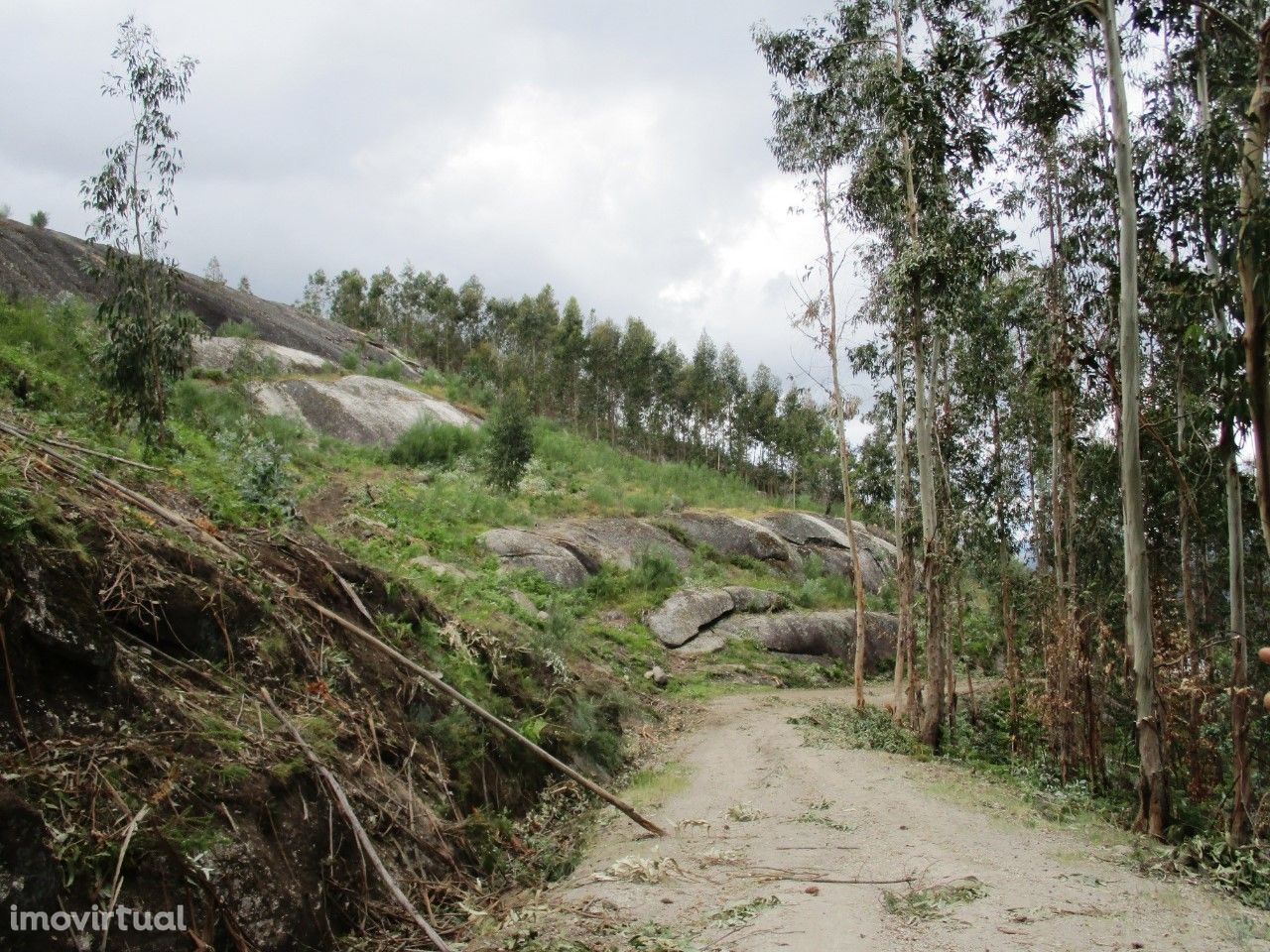 Terreno  Venda em Guilhofrei,Vieira do Minho