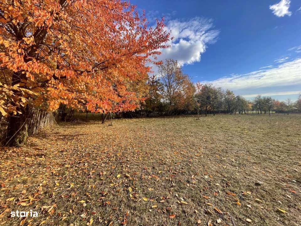 Teren Premium 1559 mp, Brebu Manastirei – Refugiu Montan la 120 km d - Imagine principală: 5/10