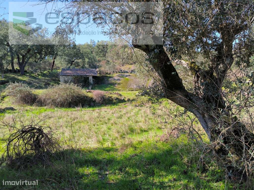 Terreno com casa em pedra e anexos - Palvarinho - Grande imagem: 4/20