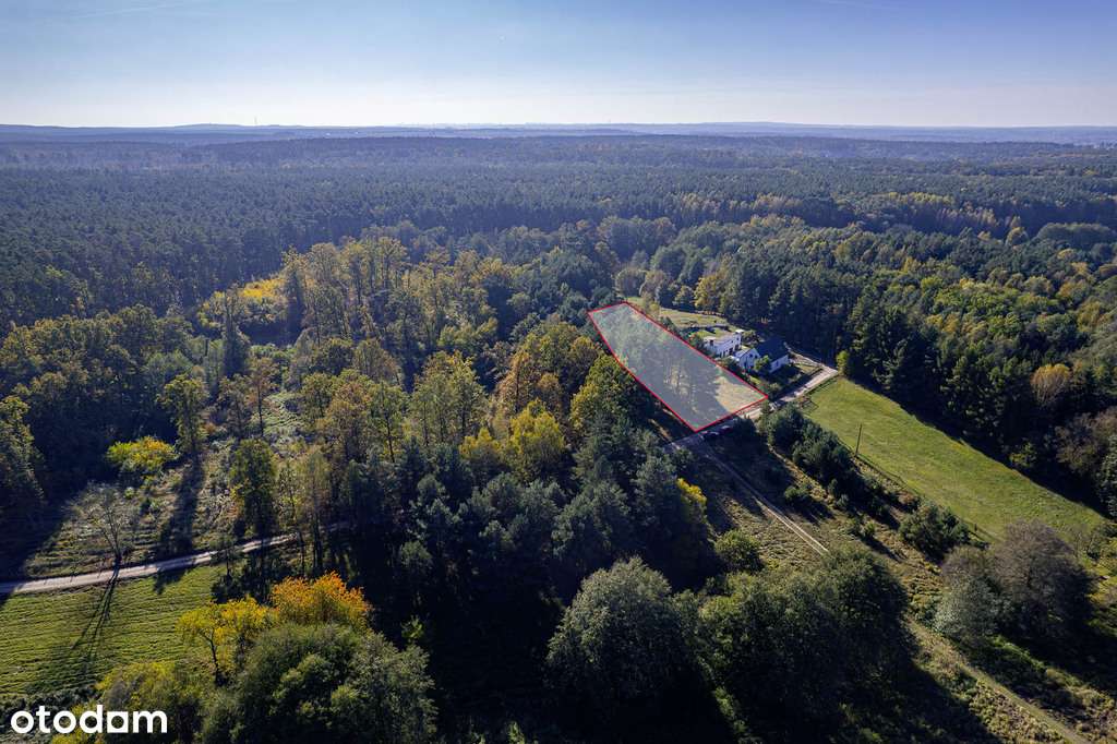 Las na własność, dom na wyłączność!-2