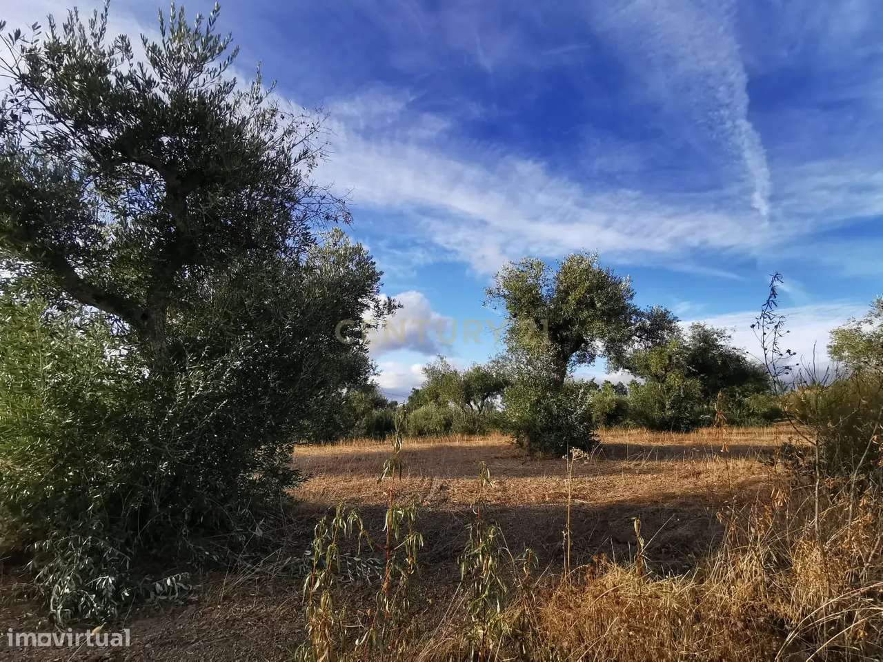Terreno rústico com construção e poço – Freixial do Campo-6