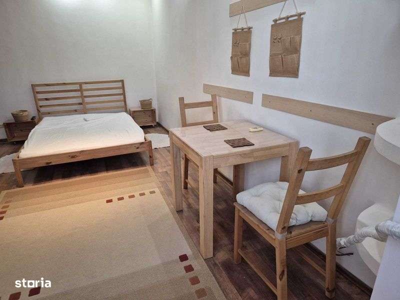 Inchiriez Garsoniera Piata Delfinului - Imagine principală: 4/8