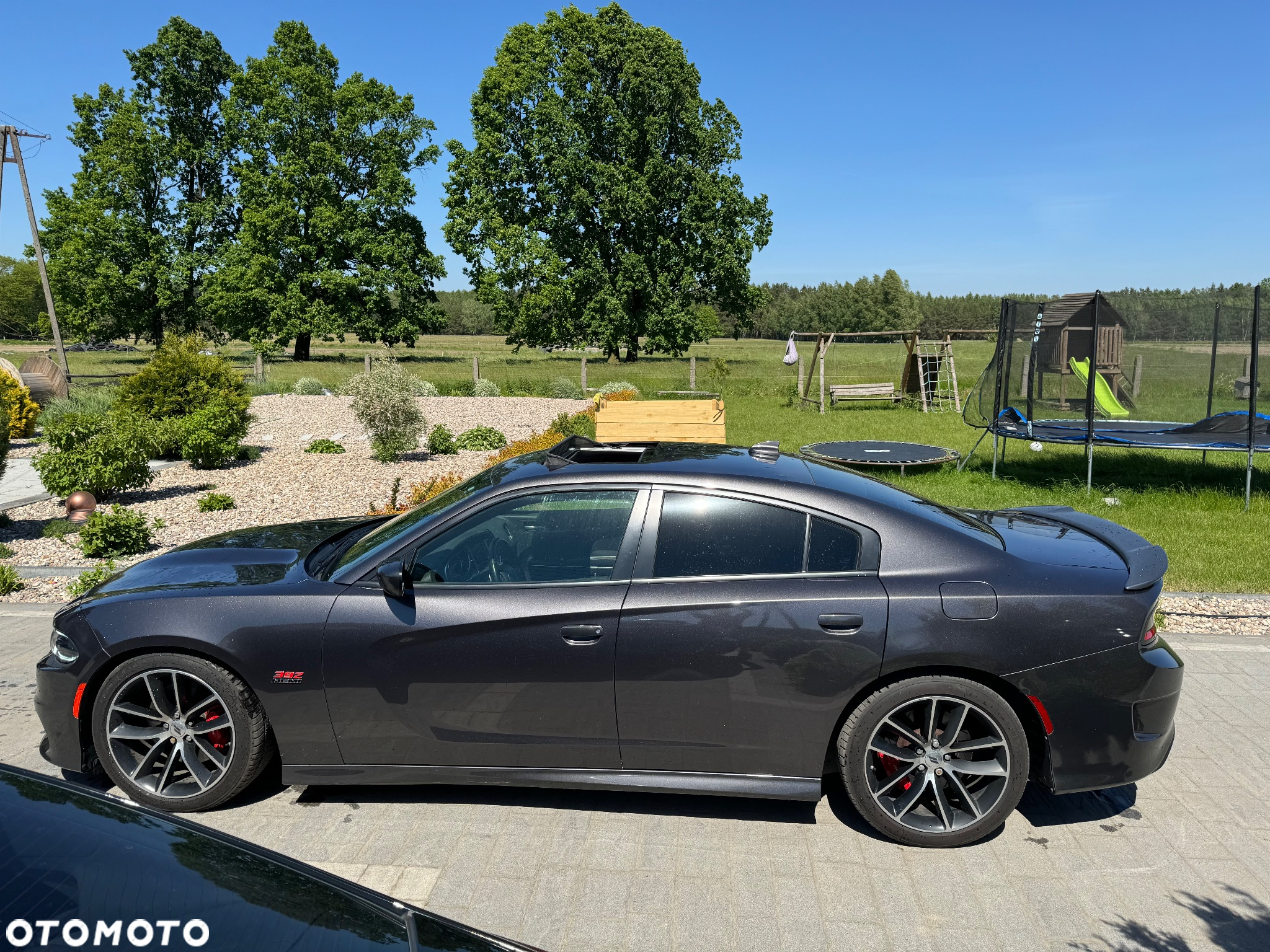 Dodge Charger - 6