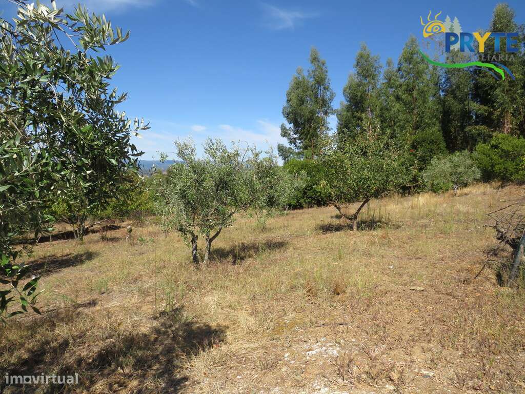 Terreno para construção situado em Álvaro - Grande imagem: 5/15