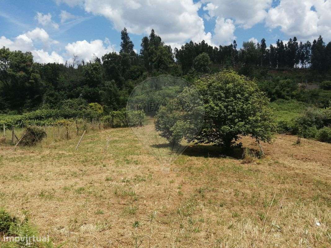 Terreno  para venda - Grande imagem: 4/7