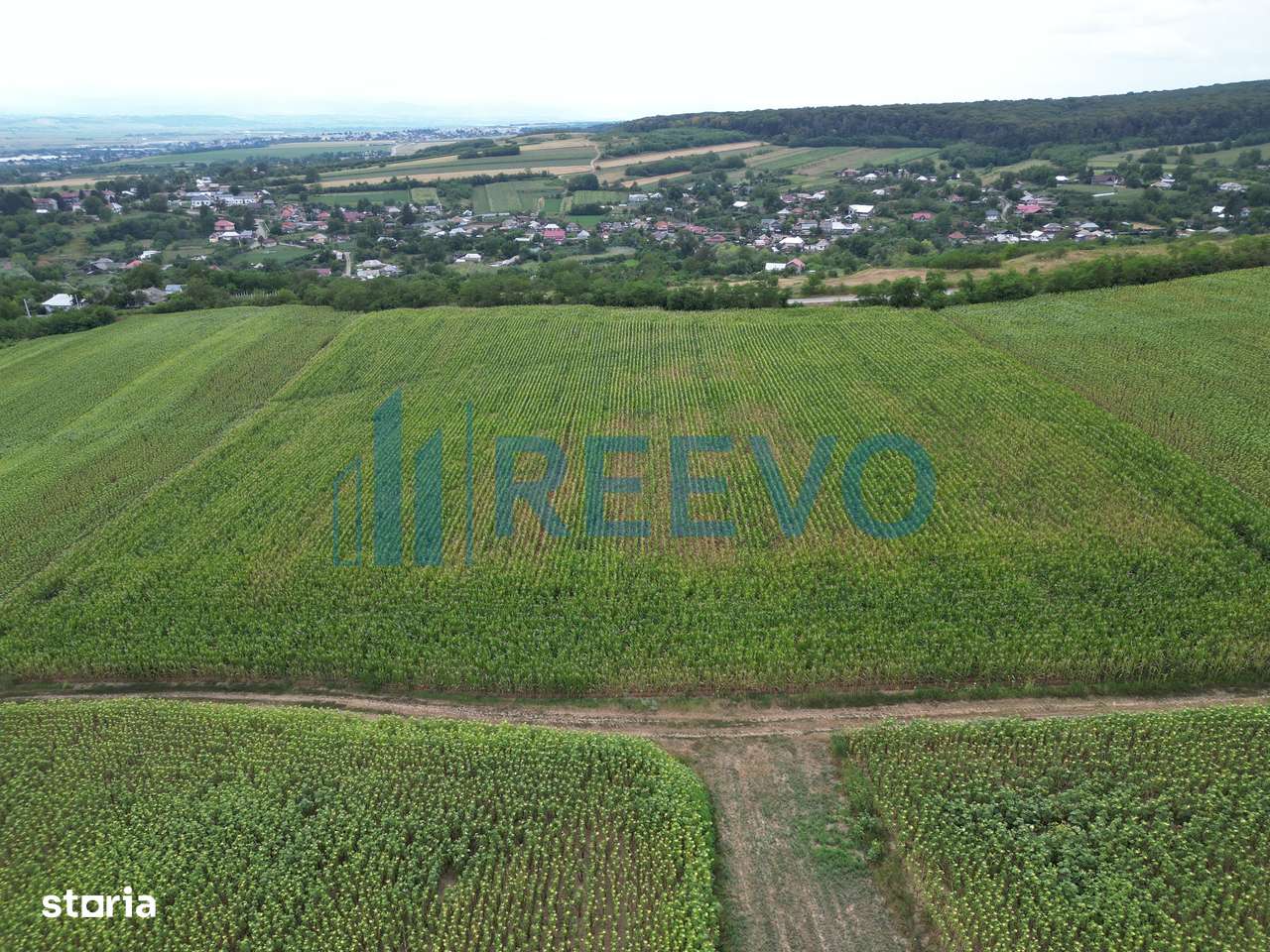 Teren de 3.600 mp Racova - Imagine principală: 4/10