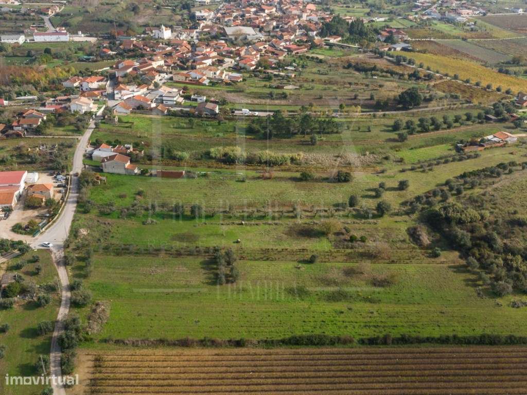 Terreno | Ventosa do Bairro, Mealhada-5