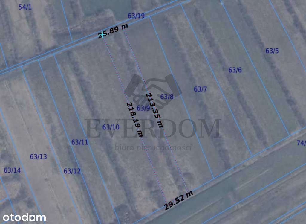 Działka rolna Gnieżdżewo 6000m2 - Pełny obrazek: 4/9