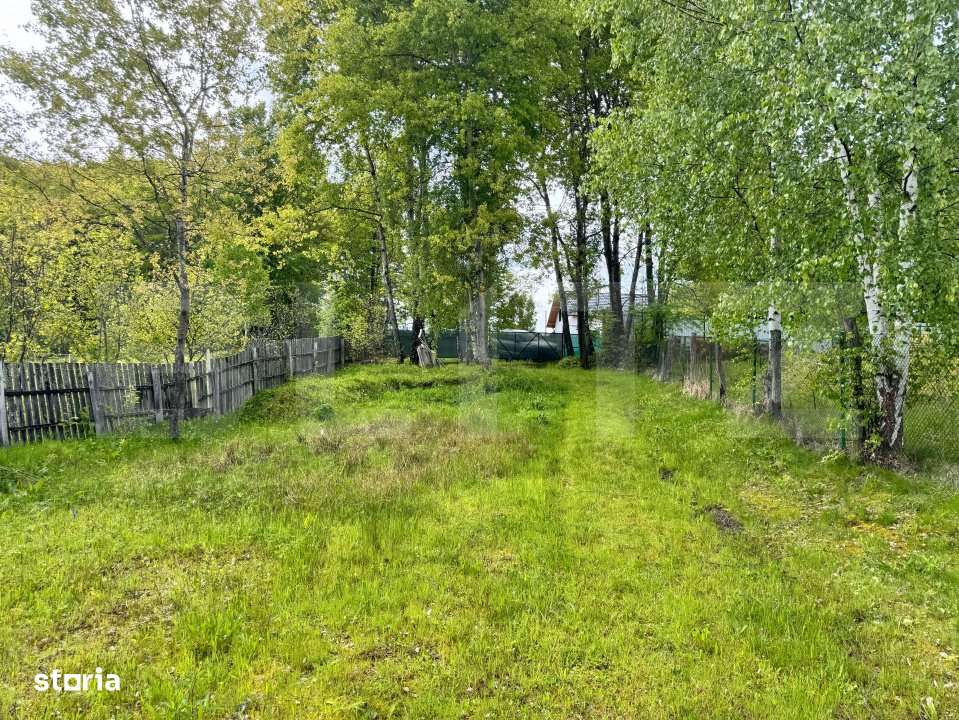 Teren intravilan, 1.000 mp, localitatea Rasca - Imagine principală: 2/8