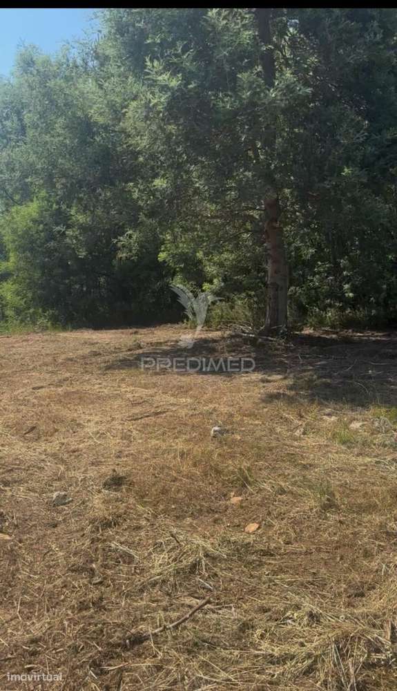 Lote de Construção - Alto de Fridão - Grande imagem: 4/5